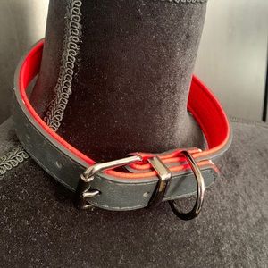 Brand New Dog Collar